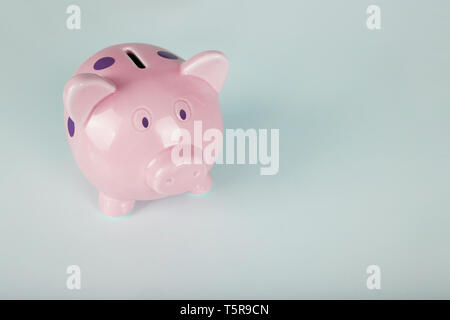Close up of pink piggy bank with purple dots isolated over blue background with copy space. Finance and money saving concept. Stock Photo