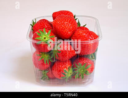 Plastic box of fresh Strawberries on white background Stock Photo
