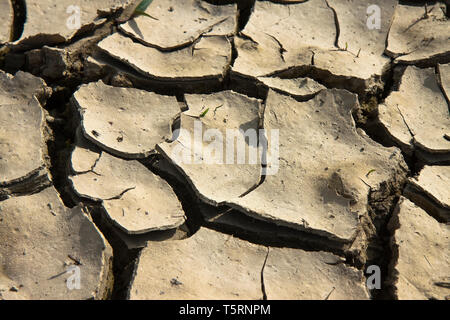 Infertile land burned by the sun: famine and poverty concept Stock Photo