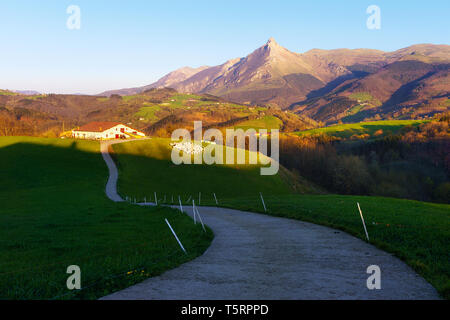 rural landscape of farm with sheep in Lazkaomendi in Gipuzkoa with Txindoki mountain Stock Photo