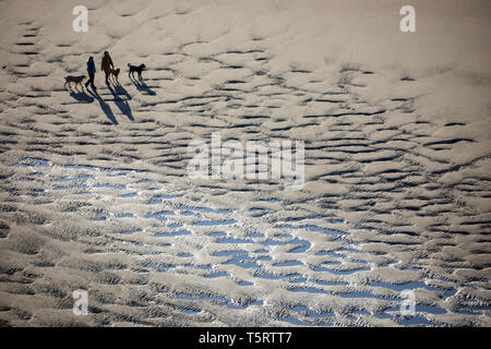 Dog walkers on beach at low tide, Rhossili Bay, Gower Peninsula, Swansea, West Glamorgan, Wales, United Kingdom, Europe Stock Photo