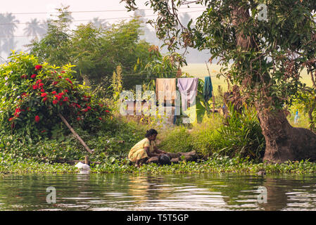 Horizontal portrait of a lady doing the washing up on the riverbank in Alleppy, India Stock Photo