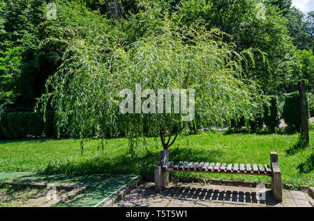 A beautiful bench under the shadow of a fresh weeping willow  in the  monastery place for relax, mountain Balkan, near Varshets town, Bulgaria, Europe Stock Photo