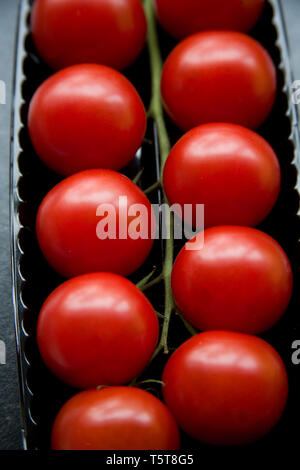 shop packaged tomatoes on a vine in a black plastic tray Stock Photo