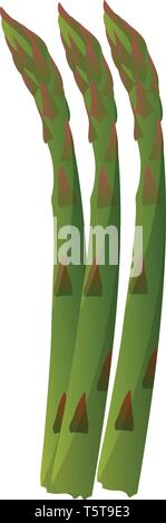Green asparagus vector illustration of vegetables on white background. Stock Vector