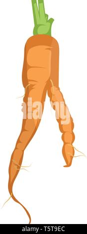 Orange cartoon carrot vector illustration of vegetables on white background. Stock Vector