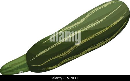 Dark and light green cartoon courgettes vector illustration of vegetables on white background. Stock Vector