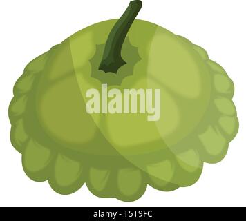 Light green scallopini with dark green petiol vector illustration of vegetables on white background. Stock Vector