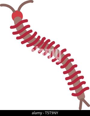Simple vector illustration of a brown and red centipede on white background. Stock Vector