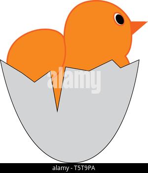 Yellow chick in an egg shell vector illustration on white background. Stock Vector
