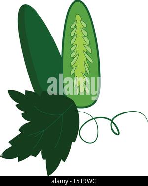 Simple cucumber cut in half vector illustration on white background. Stock Vector