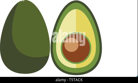 Half cut avocado/Superfood avocado vector or color illustration Stock Vector
