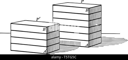 Rectangular Prism Parallel The image shows 3 parallel rectangular prisms. In a rectangular cuboid ...