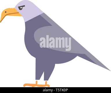 Birds of prey eagle vector or color illustration Stock Vector