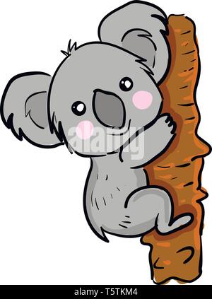 cute australian Koala on a tree on white background vector illustration ...