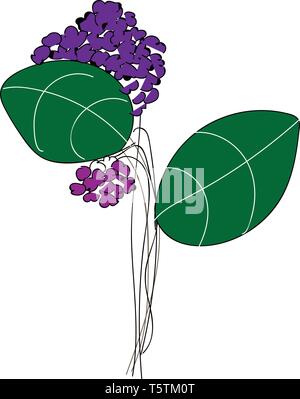 Line art of purple-colored flowers with two green leaves looks beautiful vector color drawing or illustration Stock Vector