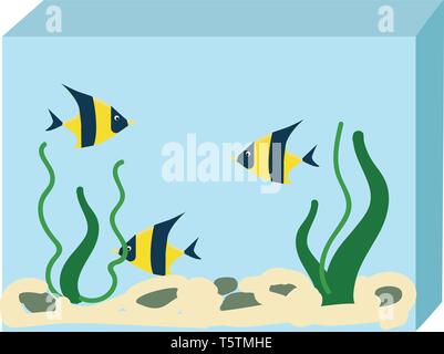 Aquarium with three fishes vector illustration on white background Stock Vector