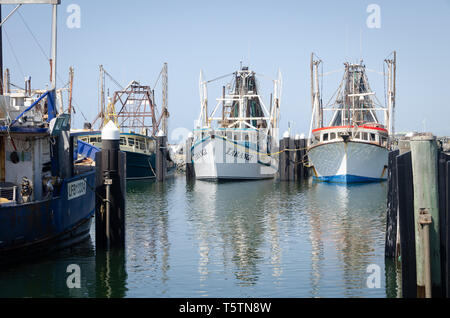 Fishing boats at Coffs Harbour Marina, New South Wales, Australia Stock