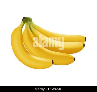 Realistic vector banana, branch of bananas isolated Stock Vector