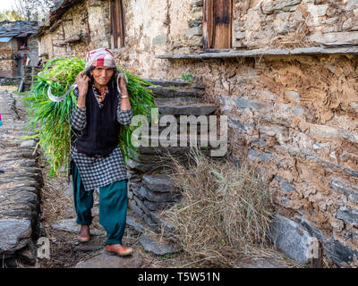 Smiling woman carrying a heavy load of fodder for her farm animals  through the Himalayan village of Supi in the Uttarakhand province of India Stock Photo