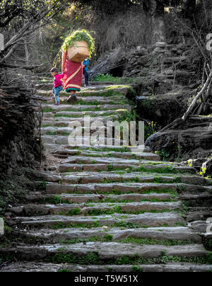 A woman walking home up steep steps with a child and a basket of fodder in the village of Supi in the Uttarakhand Himalayas northern India Stock Photo