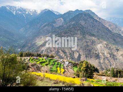 Terraced fields in the village of Dhurr in the Pindar Valley of Uttarakhand Northern India with mountains of the high Himalayas beyond Stock Photo