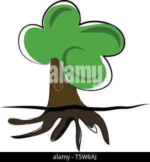 A big tree with strong underground roof vector or color illustration Stock Vector
