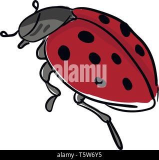 A grey color ladybug having red with black polka dot wings grey body and two antenna vector color drawing or illustration Stock Vector