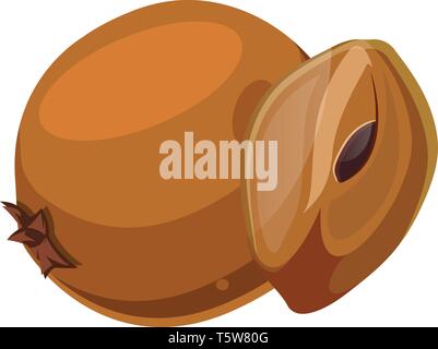 Orange chico cut in half  cartoon fruit vector illustration on white background. Stock Vector