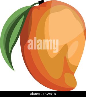Cartoon of a orange and yellow mango fruit with green leaf vector illustration on white background. Stock Vector