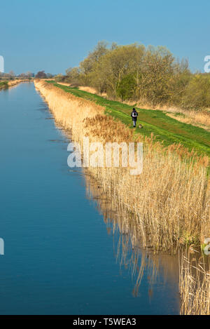 Burwell Lode at Wicken Fen, Cambridgeshire, East Anglia, England, UK. Stock Photo