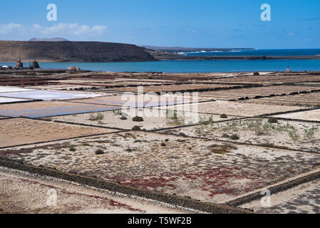 Salinas de janubio in Lanzarote, Spain Stock Photo