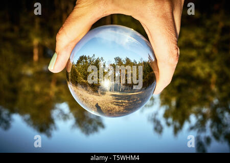 Upside down landscape of beautiful sunny forest with woman's hand Stock Photo