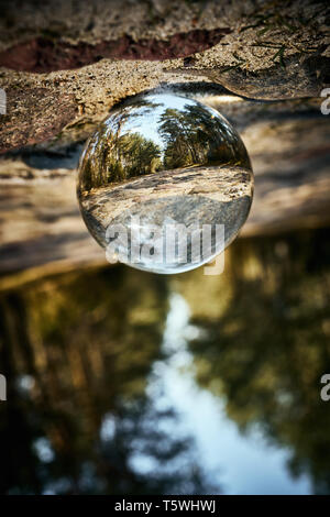 Upside down landscape of beautiful sunny forest Stock Photo