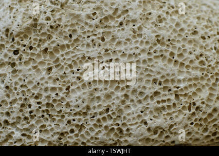 Pumice stone background texture. Small porous rock on beach abstract detail. Stock Photo