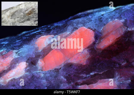 Crystals of major industrial lithium ore spodumene showing red fluorescence in ultraviolet light (365 nm).   Smaller image same sample in normal light. Stock Photo