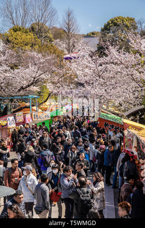 Crowds in Ueno Park enjoying the spring blossom & food stalls, Tokyo, Japan. Stock Photo