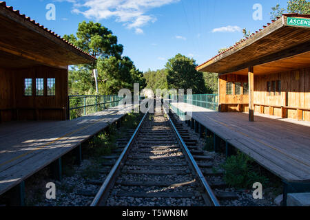 Traveling in the Train 'El Chepe'  Chihuahua, Mexico Stock Photo