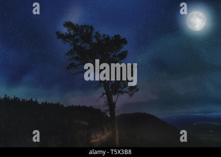 Amazing mountain landscape with a lonely tree on the background of the starry sky and the luminous full moon in the summer Stock Photo