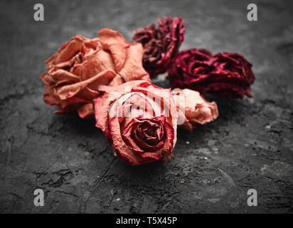 Macro photo of buds of dry red roses on a black concrete surface. Stock Photo