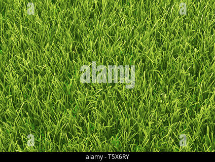 The horizontal natured green grass field texture backdrop background Stock Photo
