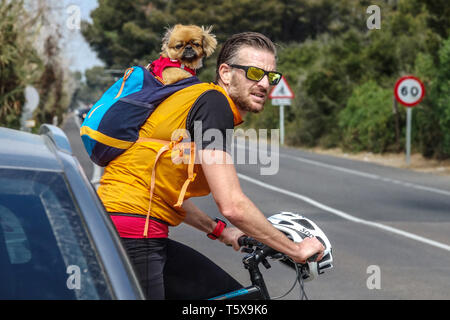 Man cycling on a road in Spain with a small dog in his backpack, wearing sunglasses and holding a helmet Stock Photo