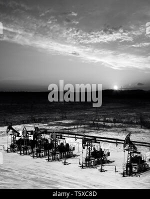 Beautiful sunset on oil extraction field in West Siberia. Russia oil and gas industry. Business and nature. Black and whte photo Stock Photo