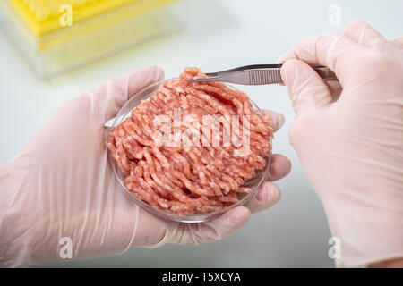 Close-up Of Researcher Holding Meat Sample In Petri Dish Stock Photo