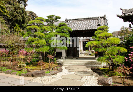 Entrance in traditional zen garden inside Hase-Dera or Hase-kannon Shinto, Hasedera Temple, Kamakura, Japan Stock Photo