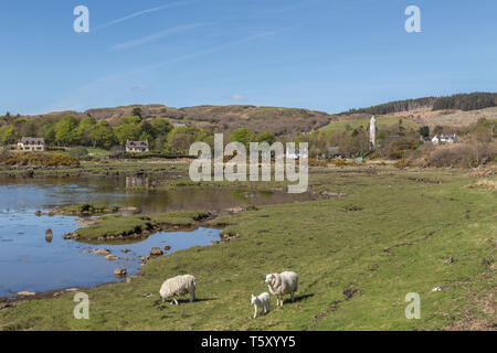 Kilmore church, village Dervaig, isle of mull, Scotland, UK Stock Photo ...