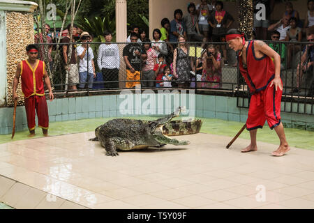 PHUKET, THAILAND - DECEMBER 11, 2010: Crocodile show in Phuket island zoo in Thailand Stock Photo