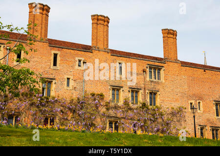 Magdelene College from the River Cam, University town of Cambridge, Cambridgeshire, England Stock Photo