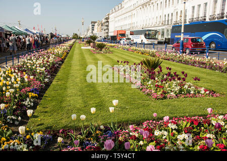 Colourful floral display gardens along the Eastbourne promenade on the Sussex coast England UK Stock Photo