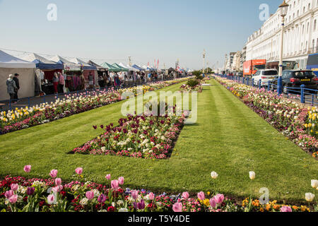 Colourful floral display gardens along the Eastbourne promenade on the Sussex coast England UK Stock Photo